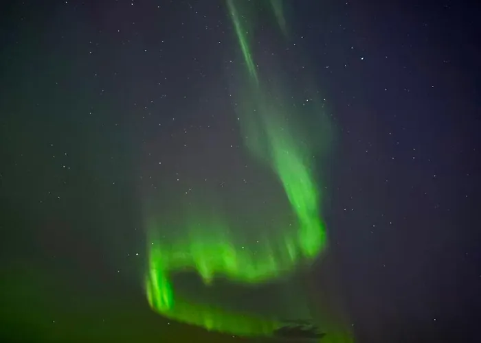 In The Heart Of Senter